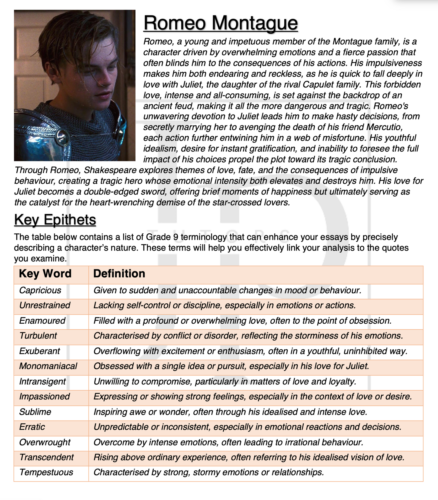 English Literature - Cheat Sheet Bundle